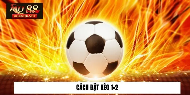 Kèo 1×2 Là Gì? Đặt Kèo Đúng Cách Rinh Thưởng Lớn Cùng Mu88 2 Cách đặt kèo 1×2