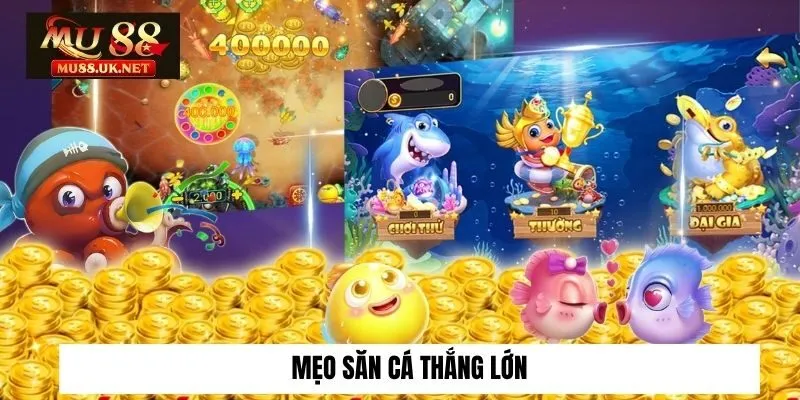 Bắn cá 3 Mẹo săn cá thắng lớn
