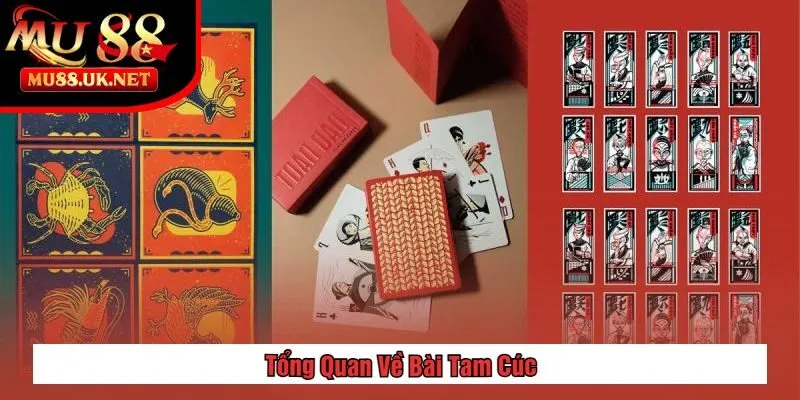 Bài Tam Cúc Là Gì? Hướng Dẫn Cách Chơi Từ A Đến Z 1 Tổng Quan Về Bài Tam Cúc