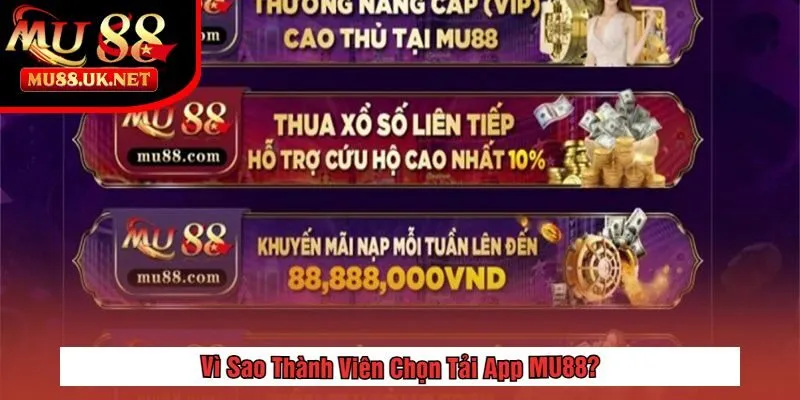 Tải App 2 Vì Sao Thành Viên Chọn Tải App MU88?