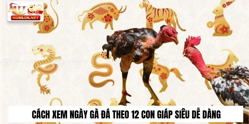 Cách Xem Ngày Gà Đá Chuẩn Xác 100% Chắc Thắng Tại Mu88 1 Cách xem ngày gà đá theo 12 con giáp siêu dễ dàng