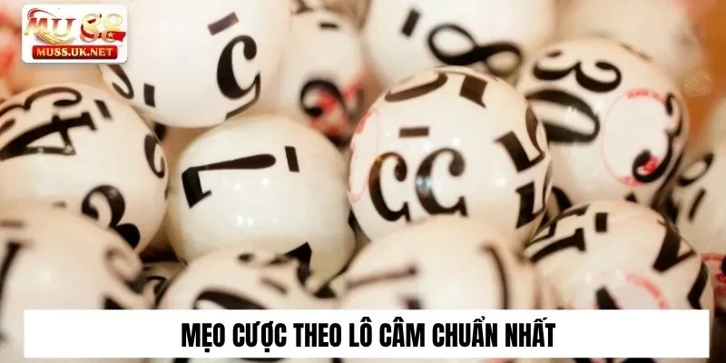 Khái Niệm Đầu Lô Câm Tại Mu88 Chuẩn Ăn Tiền Cực Khủng 3 Mẹo cược theo lô câm chuẩn nhất
