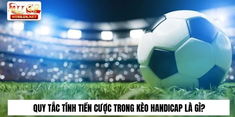 Kèo Handicap Là Gì? Các Loại Kèo Thường Gặp Tại Mu88 3 Quy tắc tính tiền cược trong kèo Handicap là gì?