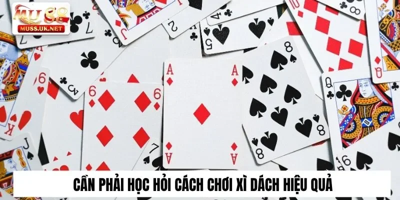 5 Cách Chơi Xì Dách “Không Ngán Đối Thủ Nào” Tại Mu88 2 Cần phải học hỏi cách chơi xì dách hiệu quả
